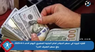 قفزة كبيرة في سعر الدولار أمام الجنيه المصري اليوم الأحد 3-8-2025.. كم بلغ سعر الصرف الآن؟